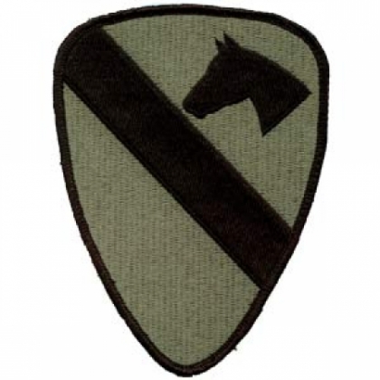 US SLEEVE INSIGNIA